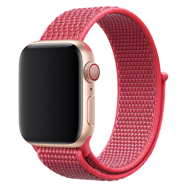 apple hibiscus sport loop