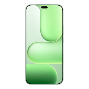 HONOR 600 Lite 5G 256GB Sprout Green