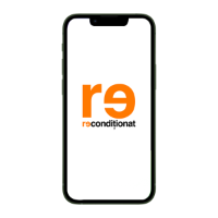 13 Pro 128 GB,Graphite,Reconditionat