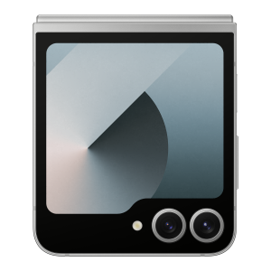 Samsung Galaxy Z Flip6 5G 256GB Silver Shadow